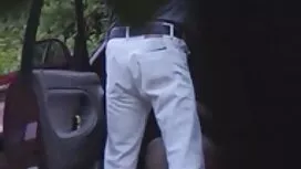 (يوفانيتا) الحصة صور ...