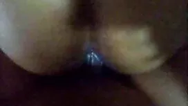 أفضل سيرة ذاتية: صدر ...