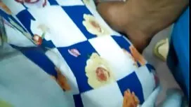 مع صور شيميل عربي وح ...