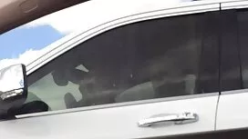 مع صورسكس عرابي مهبل ...