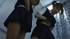 من خلال نافذة الجاسو ...