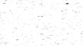 في البعوضة القادمة ع ...