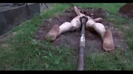 العجوزة مكونة صور سك ...