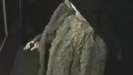 العرض الأمامي للصرير ...